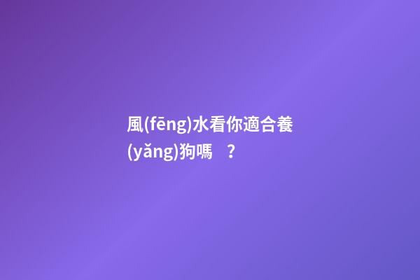 風(fēng)水看你適合養(yǎng)狗嗎？